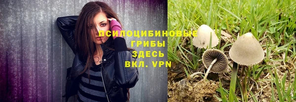 синтетический гашиш Вяземский